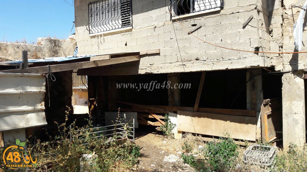 ikhla2 abo keshek (16).jpg